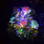 Solar Carnation Flower Garden Lights(SET OF TWO)