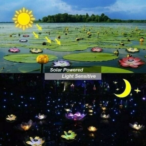 Solar Floating Lotus Flower Light(One piece set)
