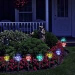LEWIS&WAYNE Solar Pathway Lights Outdoor Decoration