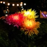 🔥Last Day Promotion 70% OFF - Waterproof Solar Chrysanthemum Garden Light