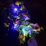 Solar Carnation Flower Garden Lights(SET OF TWO)