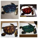 Turtle Metal Wall Sculpture
