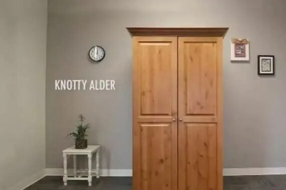 🎉Clearance Sale Only RM26.64🎉💖💖Storage Cabinet for Multiple Purposes! 🎁Best Gift for Family!