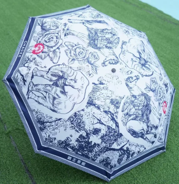 𝑪𝑯𝑨𝑮𝑬𝑬 Umbrella Collection